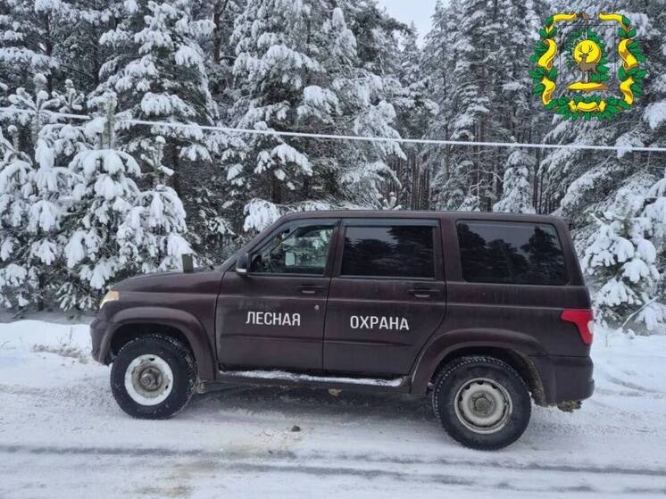 Нижегородец попался при попытке срубить ёлку в лесу