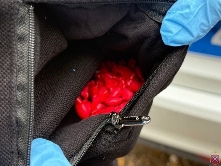 В Волгоградской области мужчина пытался сбыть крупную партию наркотика