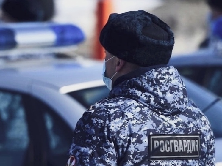 Росгвардейцы Коряжмы спасли пьяного мужчину, но он не оценил