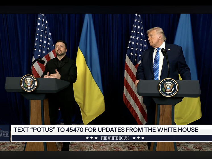 Трамп и Зеленский рассказали о предстоящем референдуме на Украине