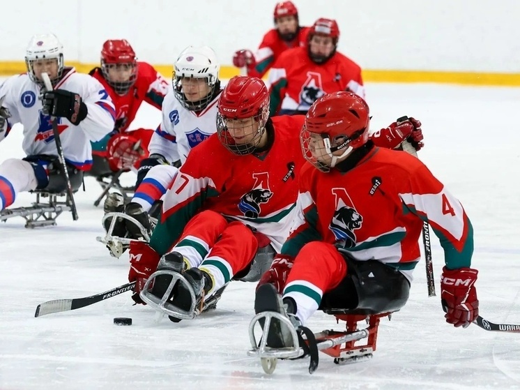 В Ярославле прошли соревнования по следж-хоккею