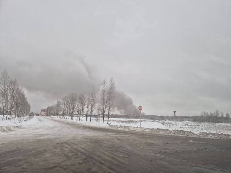 В Рыбинске жители начали жаловаться на дым от горящих кур.