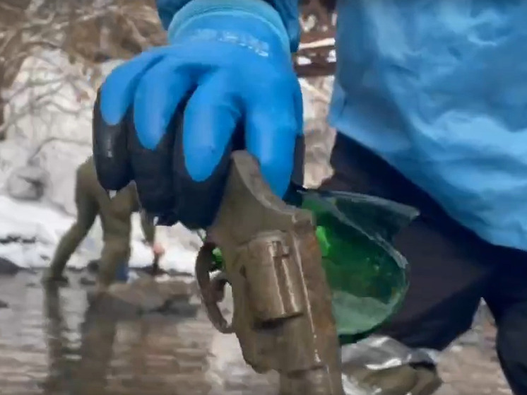 В Курске со дна реки Тускарь подняли револьвер