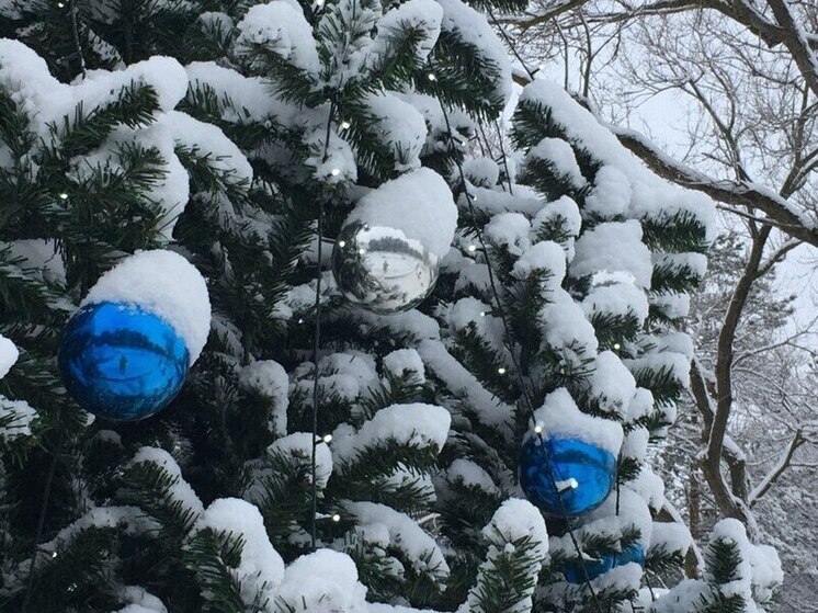Воронежцев 29 декабря ждет слегка морозный и снежный день