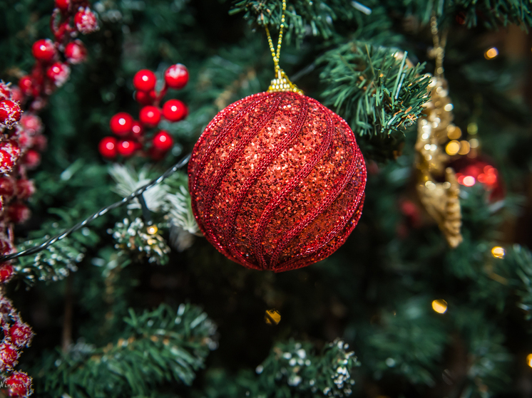 Новосибирцам посоветовали встречать 2026 год в огненных тонах