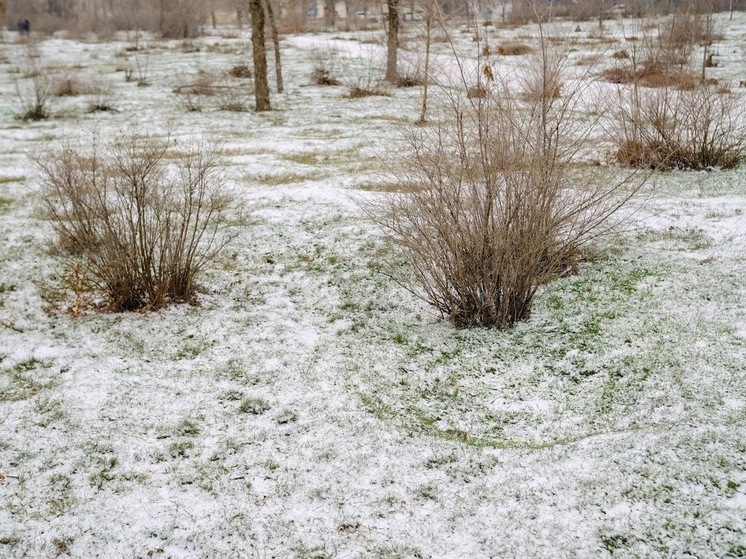 Астраханцам 29 декабря обещают небольшой снег и до +2℃