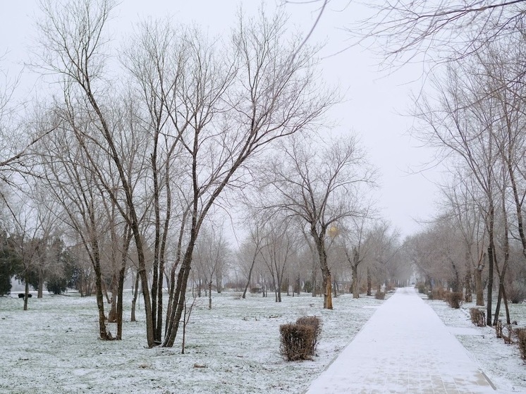 В Волгоградской области 29 декабря ожидаются снег и порывистый ветер