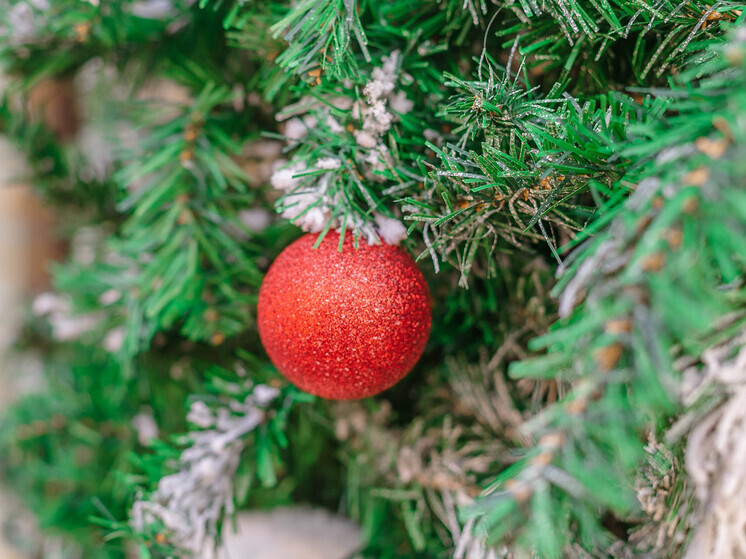 Дети защитников Отечества из Приморья посетили Кремлёвскую ёлку