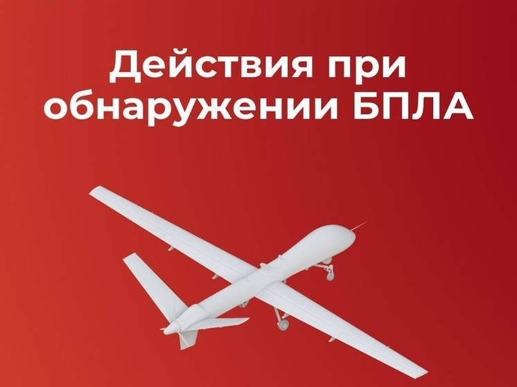 Над Смоленской областью сбит украинский БПЛА