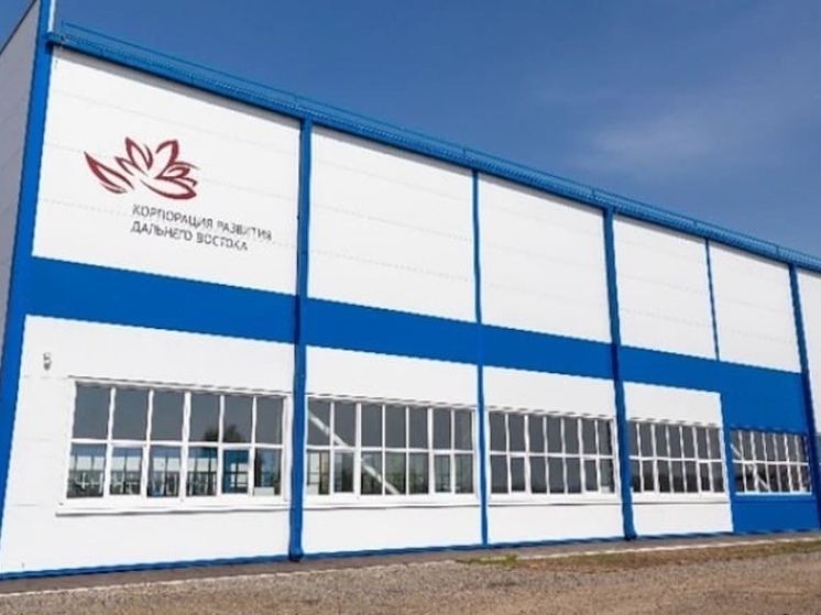 Хабаровский край заморозил платежи для бизнеса на 15 лет — кто в плюсе