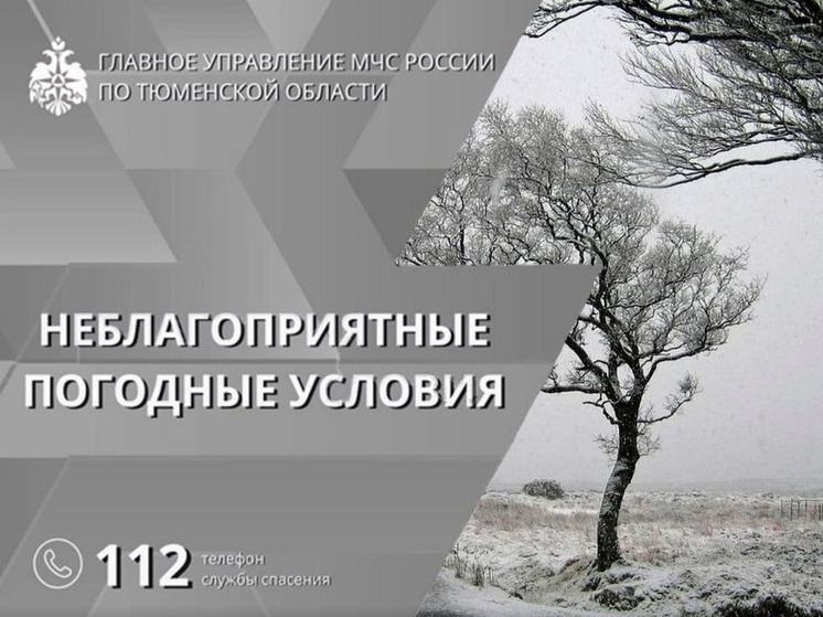В Тюменской области установилась снежная погода