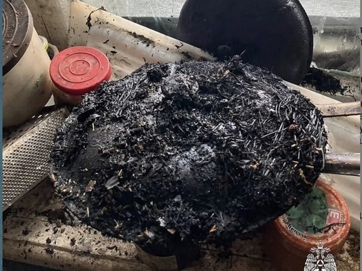 В Иркутске из-за сушёных трав горела квартира