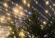 Близится Новый год и новогодние выходные – время активного отдыха, шумных гуляний и семейных застолий