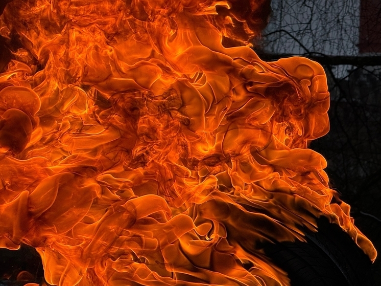 За неделю в Тверской области утонули два человека, а на пожарах погибли трое