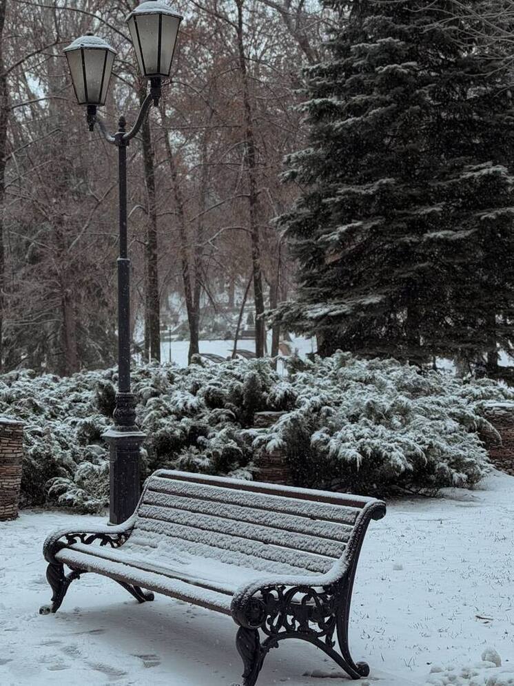 Погода в Самаре на 29–31 декабря: снег и постепенное потепление к празднику