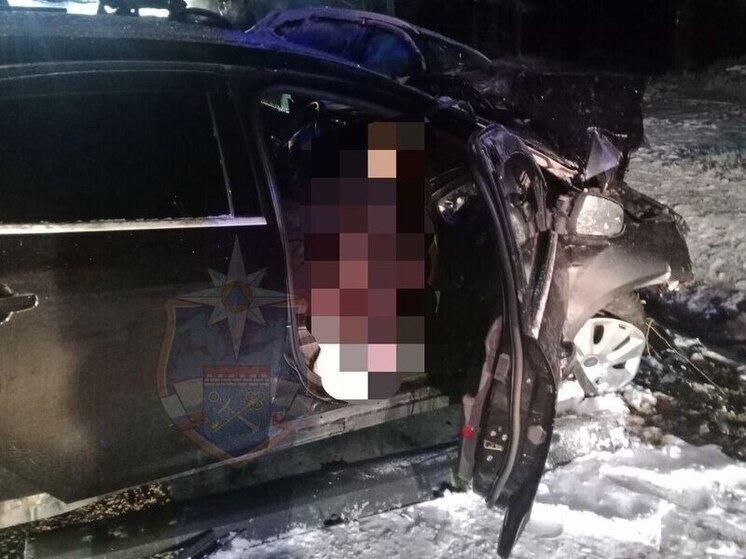 Два ленинградца погибли в ДТП возле деревни Бережок