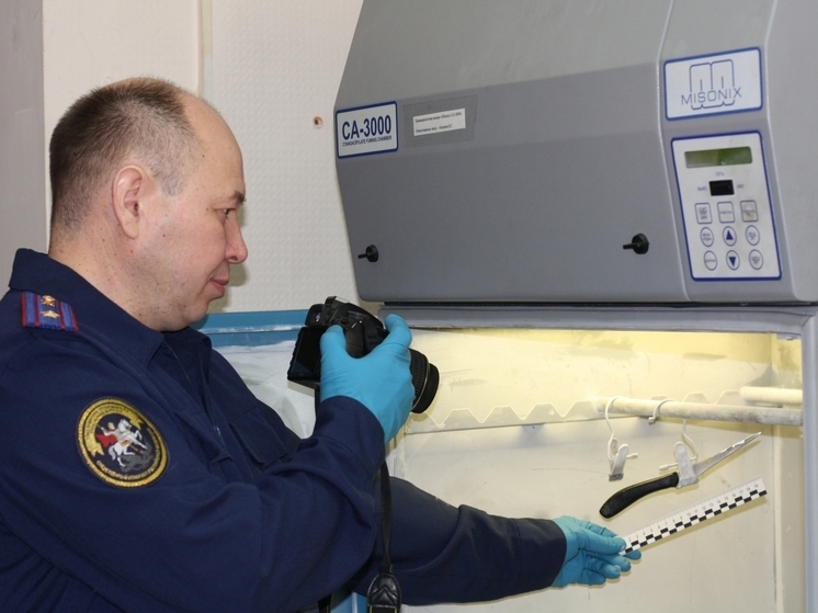 В Закаменском районе Бурятии женщина убила своего односельчанина