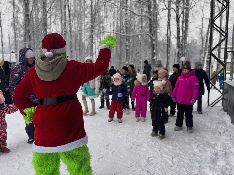 Предновогодние праздничные гуляния прошли в селе Павино