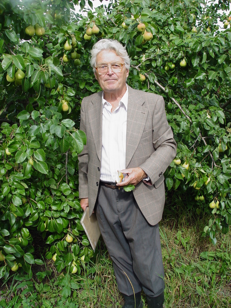 Скончался создатель 90 уральских сортов яблок и груш