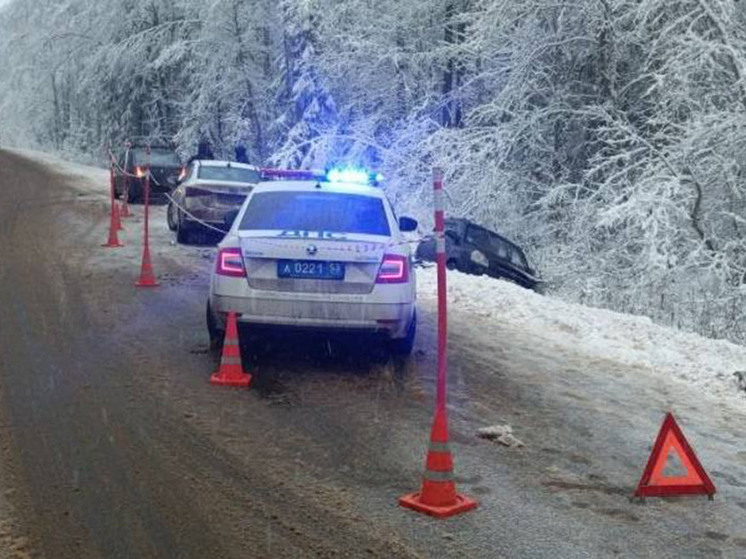 В Чудовском округе столкнулись два «Хендая» и пострадали два человека