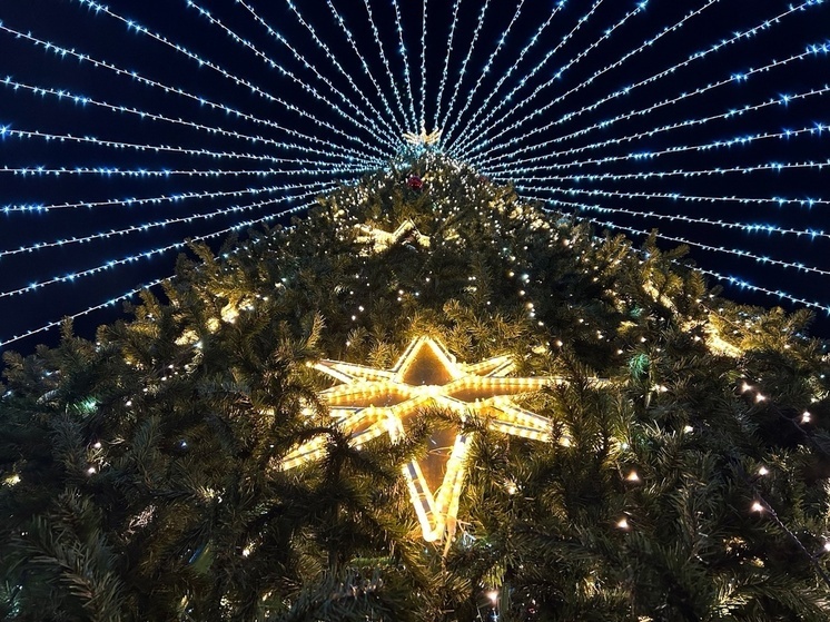 Юные вандалы нацелились на новогодние елки Вологды