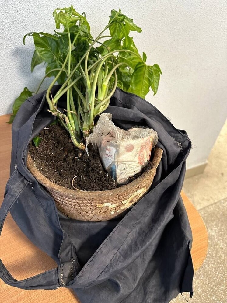 В Чебоксарах таксист помог полиции спасти пенсионерку от мошенников