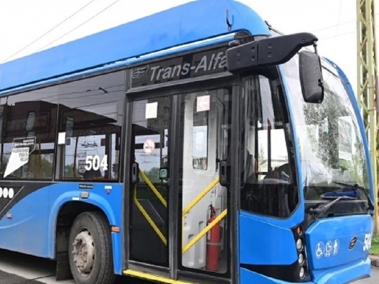 В новогоднюю ночь по Петрозаводску запустят троллейбусы