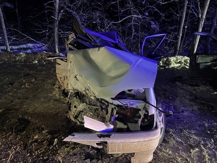 10 человек погибли на дорогах Нижегородской области за выходные