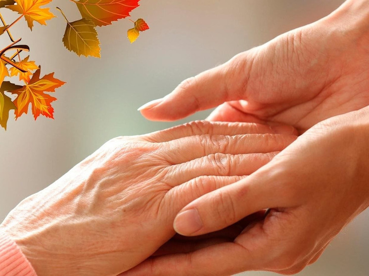 426 жителей Владимирской области получили помощь на дому в 2025 году