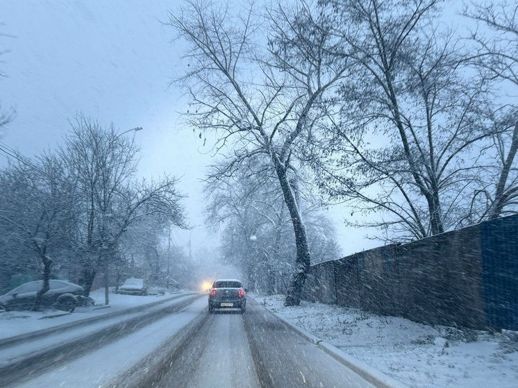 Госавтоинспекция опубликовала график работы МРЭО на новогодние праздники в Ростове