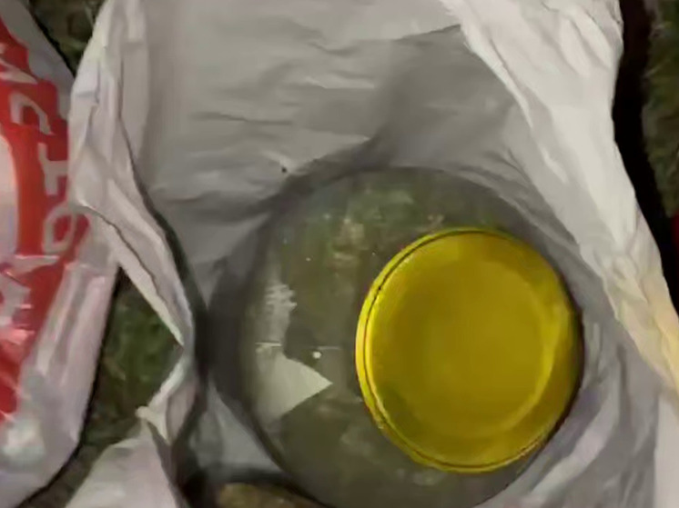 В Липецкой области накрыли домашний склад с килограммами запрещенных веществ