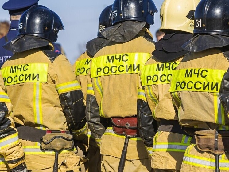 В Челябинской области пожар из-за гирлянды уничтожил гараж и две машины