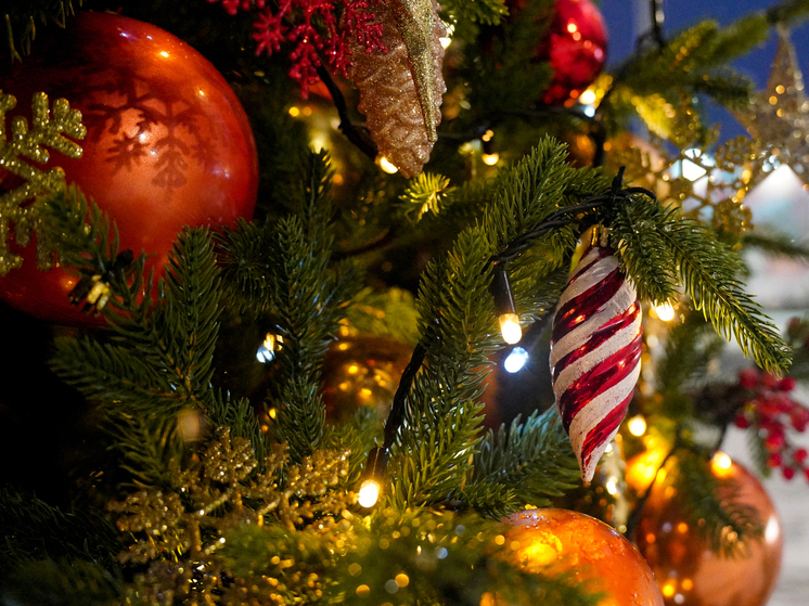 Около 260 юных туляков стали участниками новогоднего праздника в центре «ЮНИТИ»