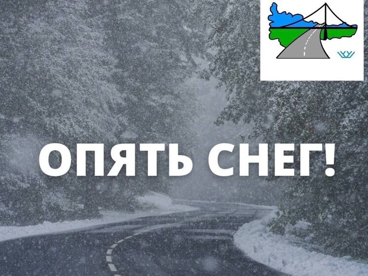 В Югре на трассе «Иртыш» ограничили скорость из‑за непогоды