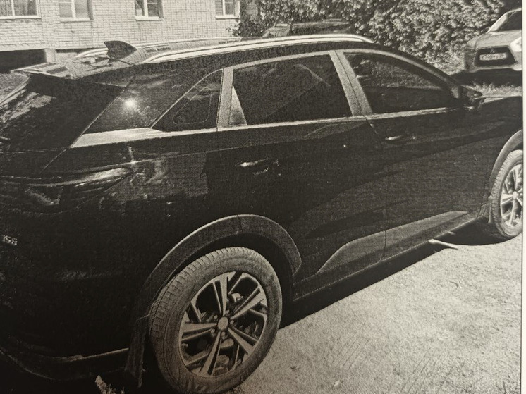 Жители Коряжмы получили срок за похищение под видом наркоконтроля