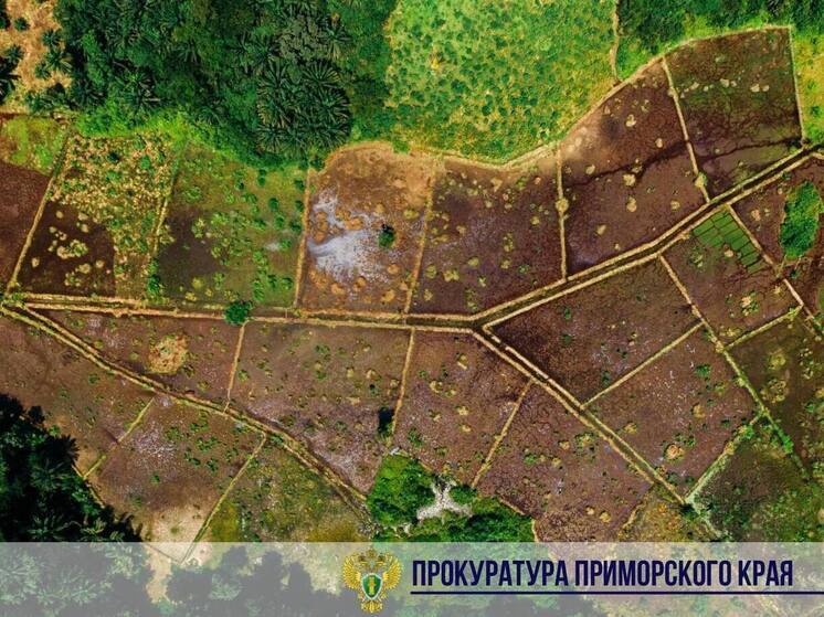 Скандал в Арсеньеве: чиновница и ее муж украли землю ветеранов на миллионы