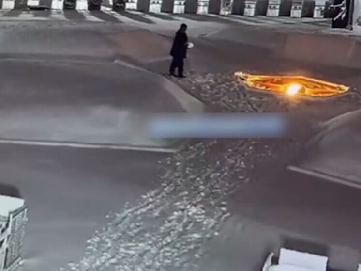 В Ленобласти местный житель закидал снегом Вечный огонь