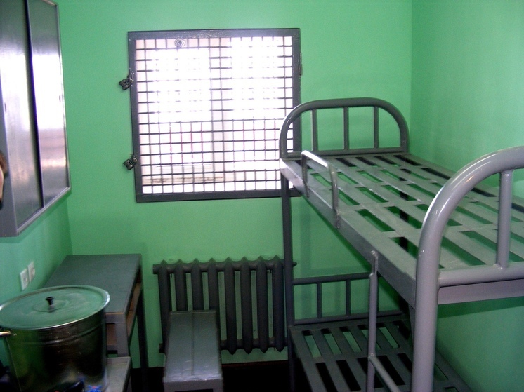 Вологжанка лишилась свободы на 13 лет за госизмену