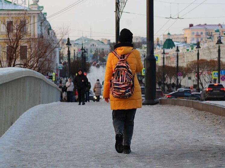 В районах Омской области утвердили проекты капремонта пяти мостов