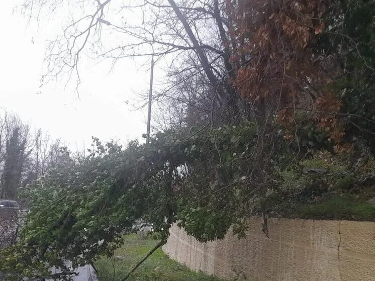 В Лазаревском районе Сочи специалисты устраняют последствия непогоды