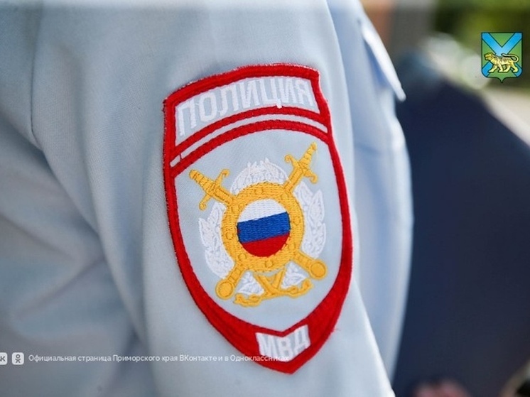 Итоги года антитеррора в Приморье: десятки уголовных дел и тысячи обращений жителей
