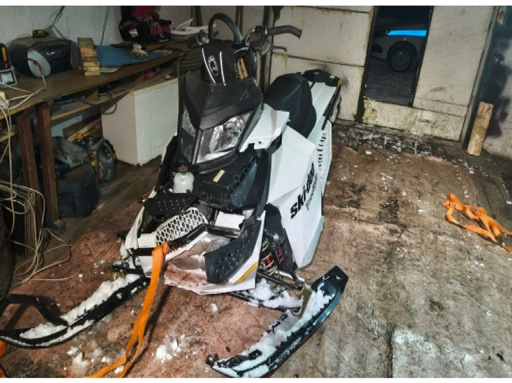 Две девочки пострадали после поездки на снегоходе в Грязовце