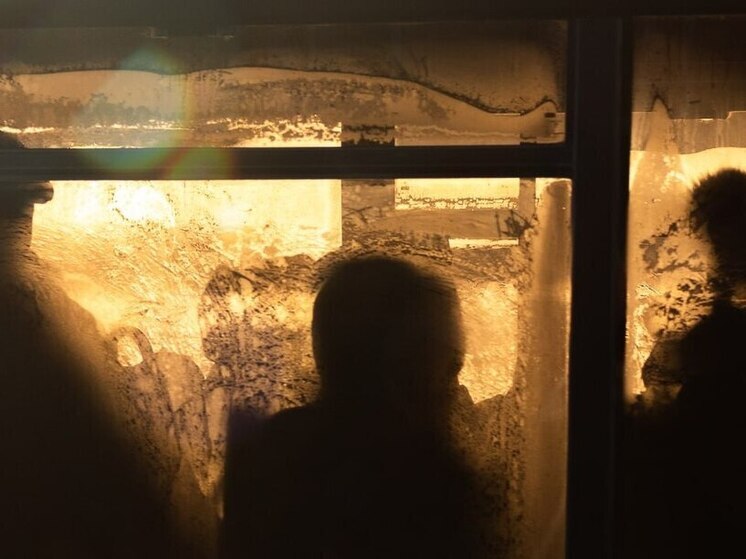 Петербуржец разбил кулаком лобовое стекло автобуса в Парголово