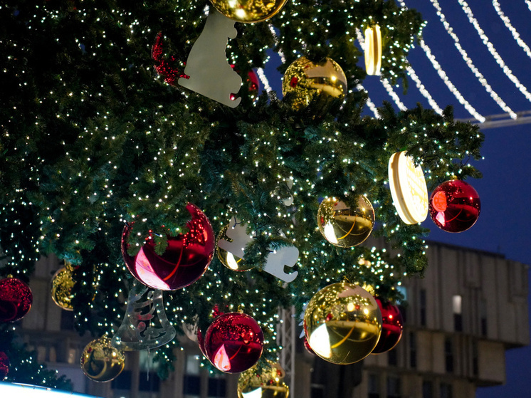 В Роспотребнадзоре тулякам рассказали, как правильно выбрать ёлку