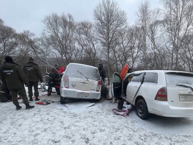 Смертельное ДТП в Лесозаводске: водитель Mitsubishi выехал на встречку