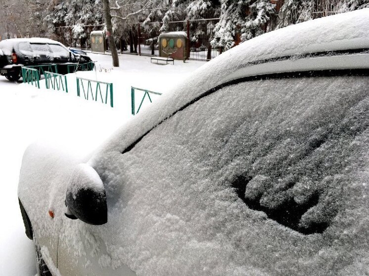 В начале января в Саратовской области прогнозируют метель и оттепель