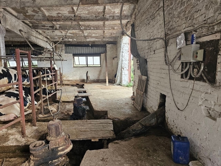 Директора сельскохозпредприятия в Коврове обвиняют в смерти работника