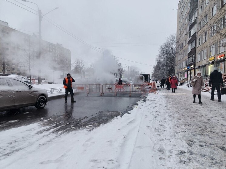 У метро «Дыбенко» улицу заволокло густым паром из-за прорыва трубы