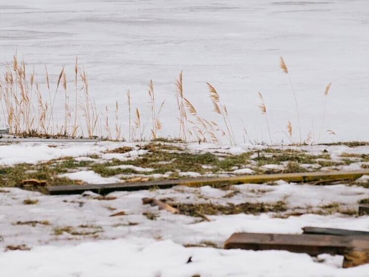 Молодой житель Пензенской области обвиняется в незаконном вылове более 200 рыб