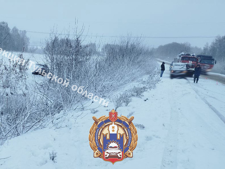 Под Дубной автоледи на Changan улетела в кювет с заснеженной дороги